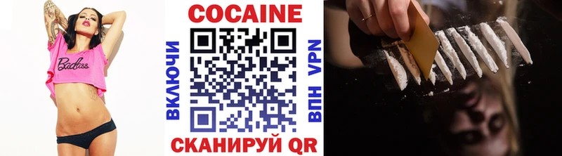 кракен ТОР  купить наркотики цена  Отрадная  Cocaine FishScale 