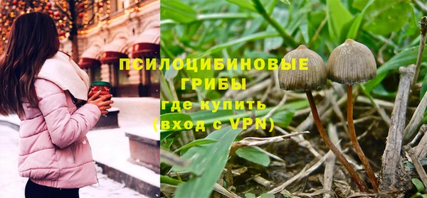 тгк Алексин