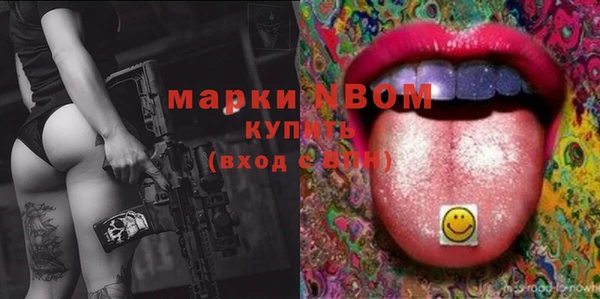 стаф Нея